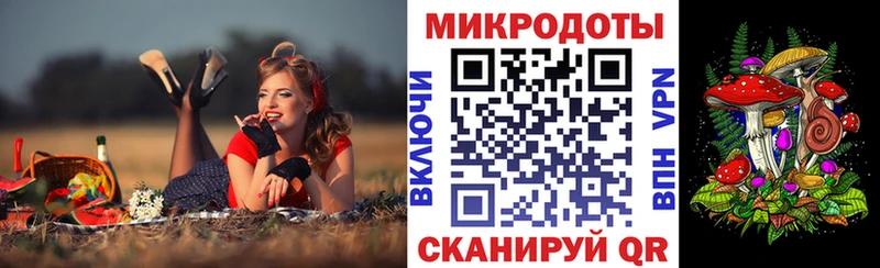 Псилоцибиновые грибы GOLDEN TEACHER  Купить  Мураши 
